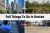 Fall Things To Do in Boston